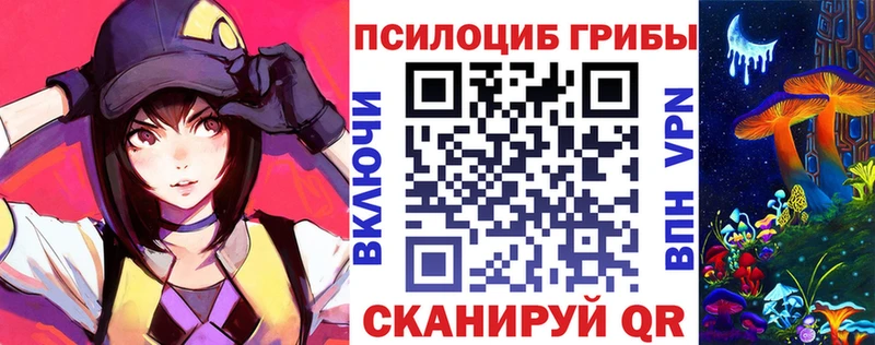 купить  цена  Дыгулыбгей  blacksprut зеркало  Псилоцибиновые грибы прущие грибы 